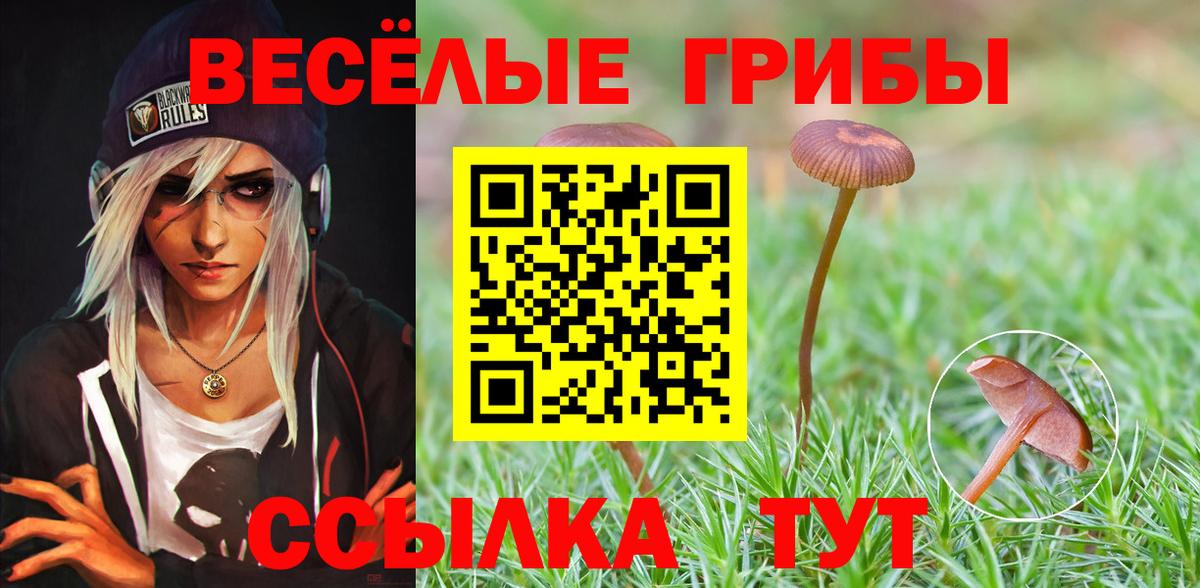Галлюциногенные грибы GOLDEN TEACHER  Вход с VPN  Норильск 
